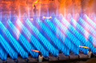 Velator gas fired boilers